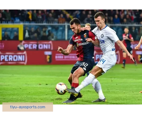 足球直播网瑞典超赛事全程解析与实时比分前瞻指南数据战术深度观察